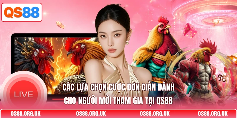 Các lựa chọn cược đơn giản dành cho người mới tham gia tại QS88