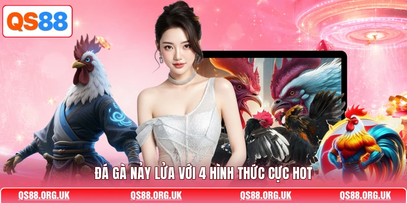 Đá gà nảy lửa với 4 hình thức cực hot