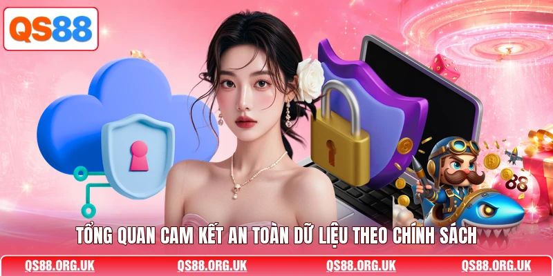 Tổng quan cam kết an toàn dữ liệu theo chính sách